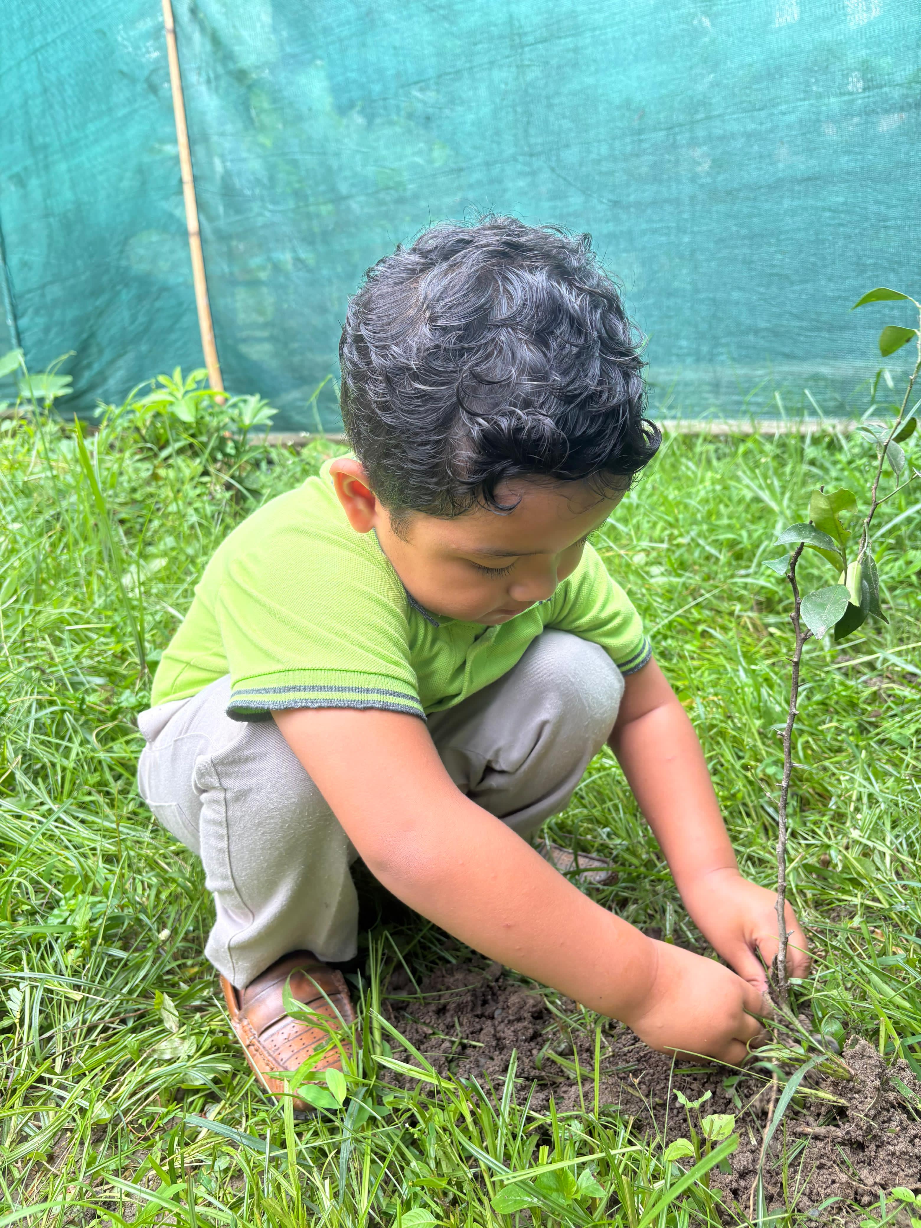 Green Campus Explorers