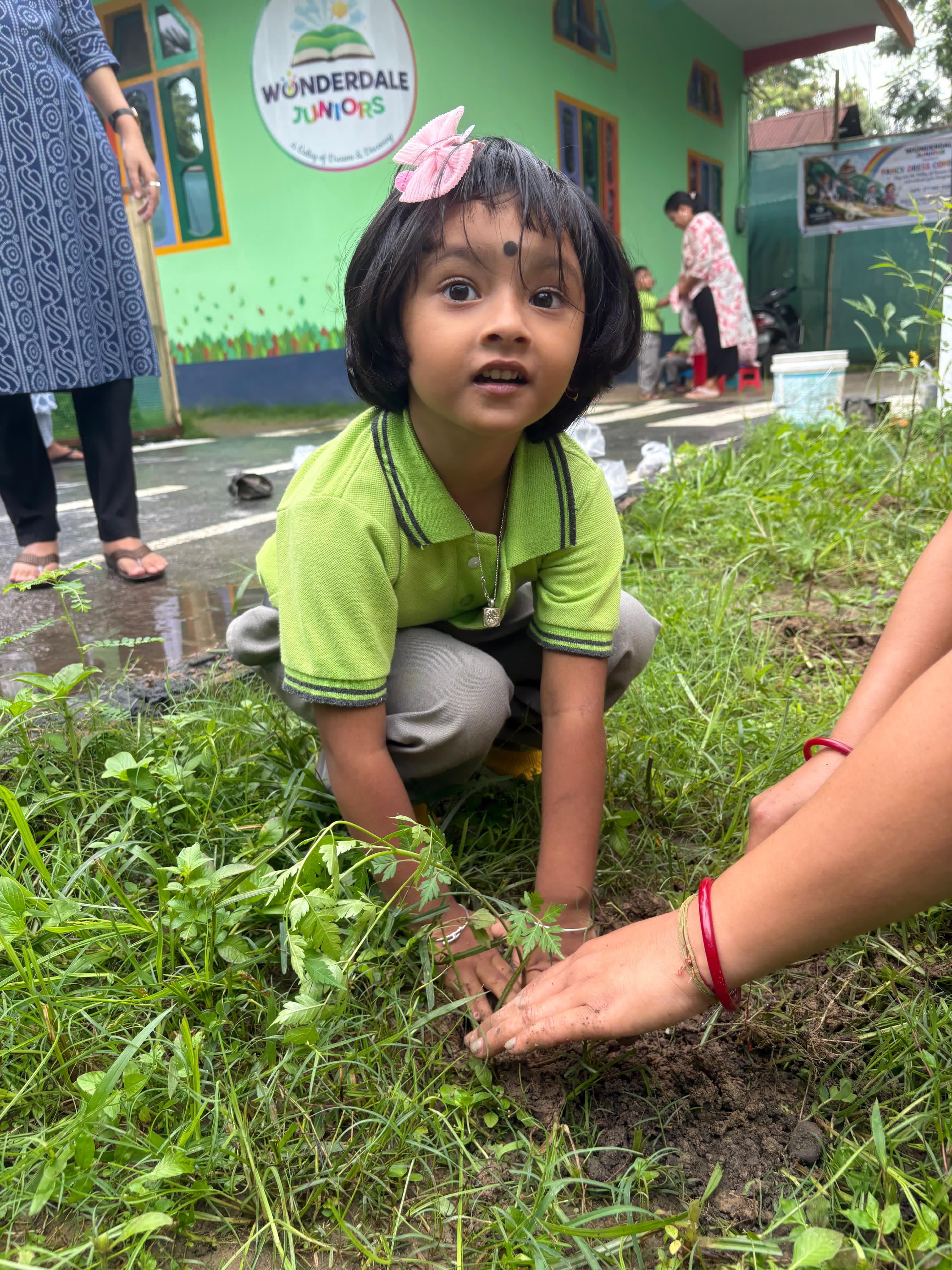 Environmental Care Activity